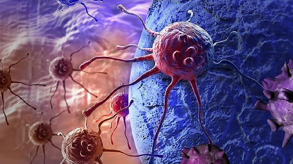 感染尼帕病毒的症状表现