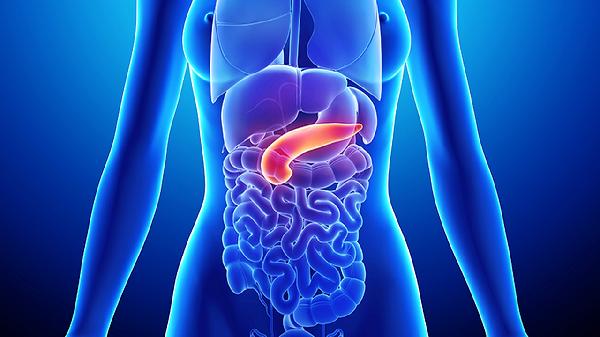 总胆红素偏高说明什么