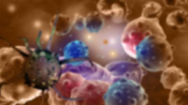 淋巴细胞百分比偏低什么意思