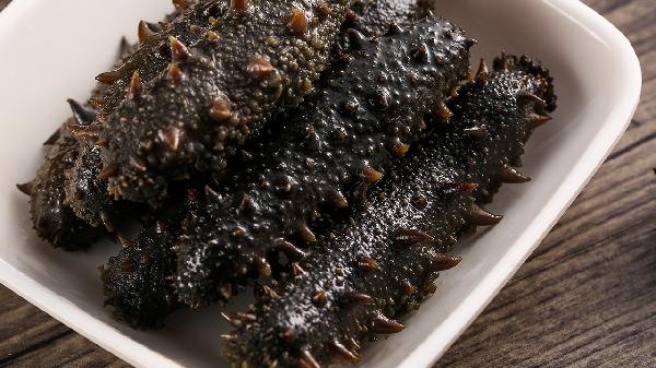 海参的功效与作用、禁忌和食用方法