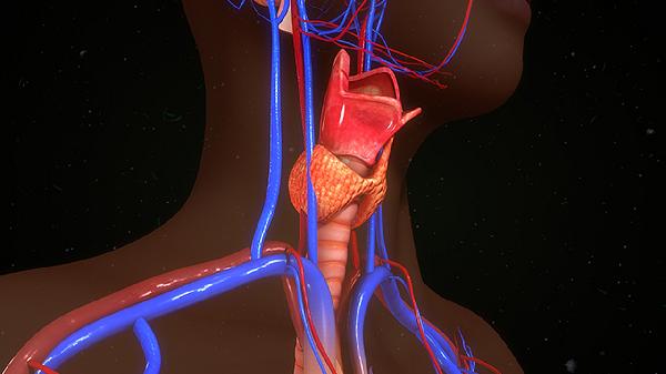 人乳头瘤病毒检查有问题怎么办
