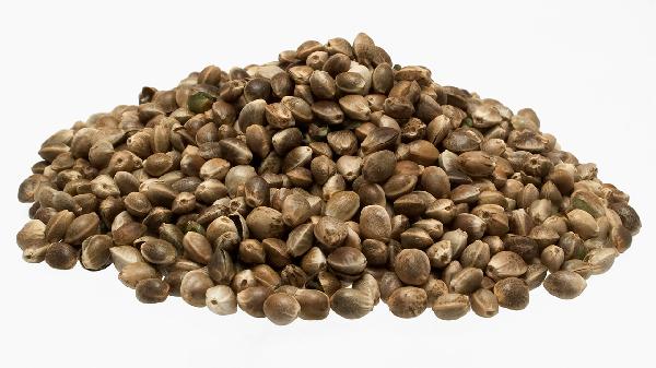 火麻仁的功效与作用