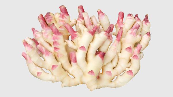 姜黄的功效与作用