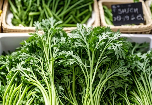 茼蒿菜的功效与作用、禁忌和食用方法