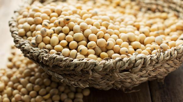 大豆卵磷脂的功效与作用有什么