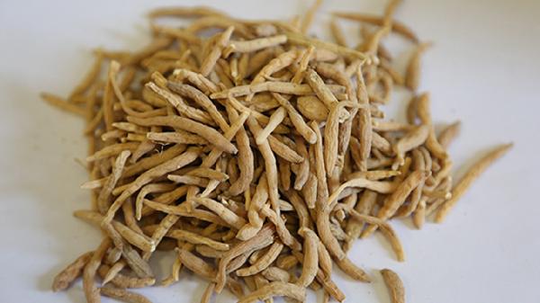 太子参的功效与作用及禁忌分别有哪些