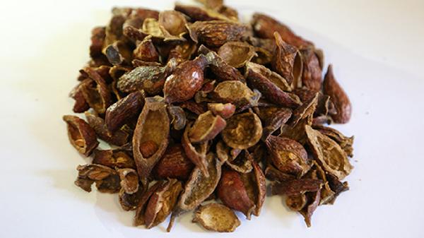 金樱子肉的功效与作用