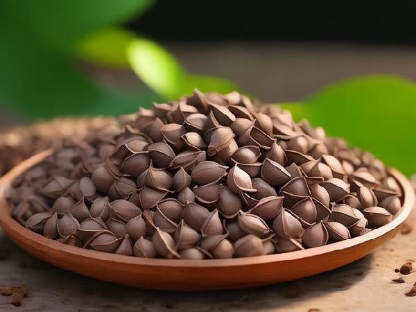 辣木籽的功效与副作用