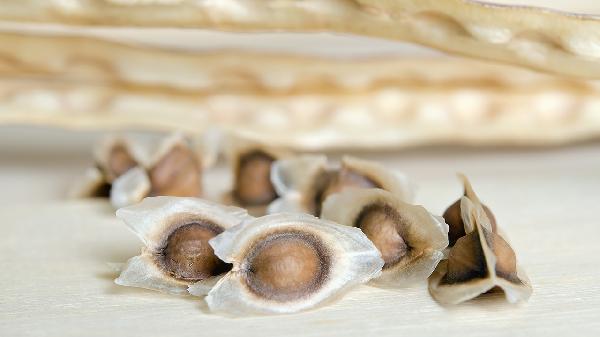 辣木籽的功效与副作用