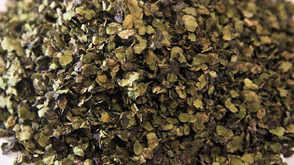 浮萍的功效与作用有哪些