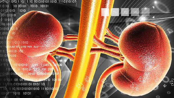 查出肾囊肿不是坏事，甚至应该感到庆幸，医生确实没开玩笑！