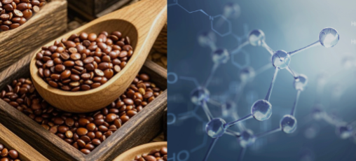 亚西亚药业与天津科技大学达成战略合作 眠尔康片健康功效研究正式启动