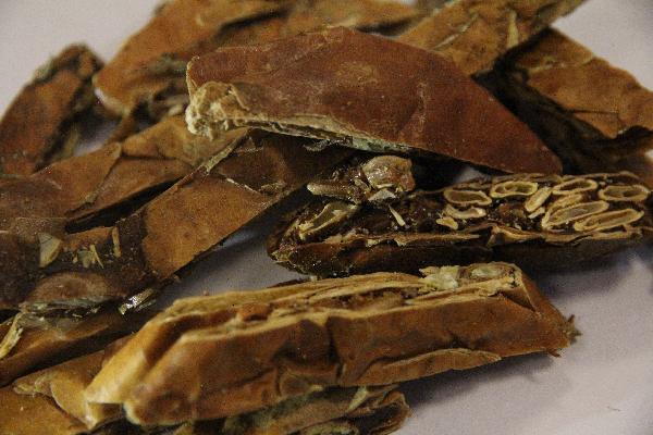 过氧苯甲酰凝胶是中药还是西药