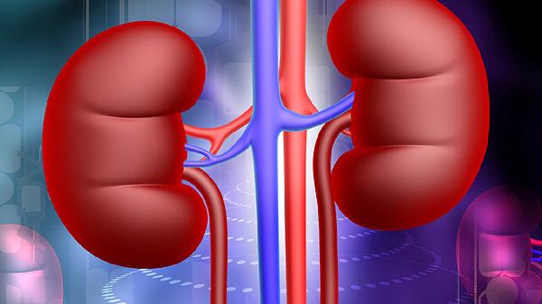 子仲益肾丸的功效与作用