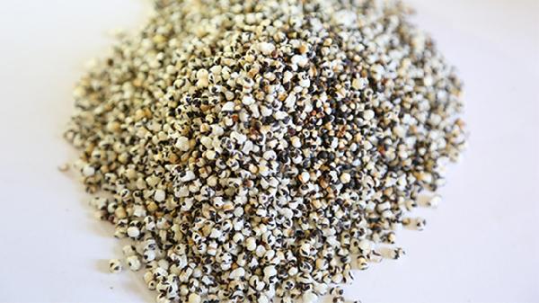 复方王不留行片的功效是什么