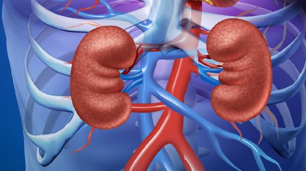 补肾益精丸的作用都有哪些