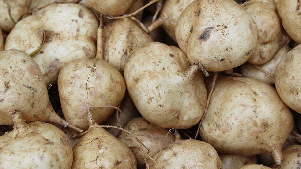 无比山药丸的作用是什么