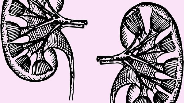 固肾安胎丸使用时需要注意什么