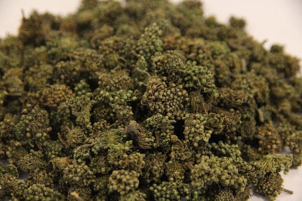 益肾化湿颗粒是中药还是西药