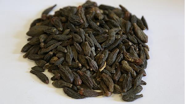 藏青果喉片是中药还是西药