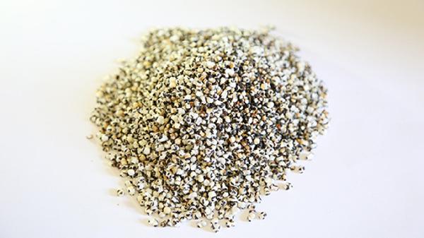 复方王不留行片使用时需要注意什么