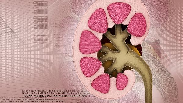 养血补肾丸治疗什么病