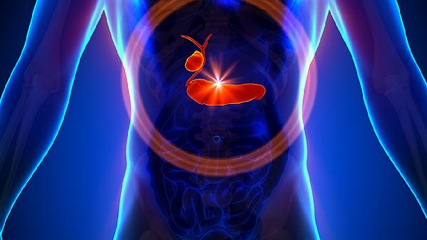 十五味龙胆花丸作用与功效