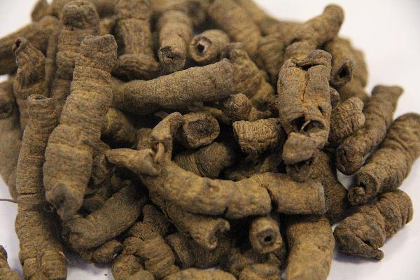 复方祖司麻止痛膏是中药还是西药