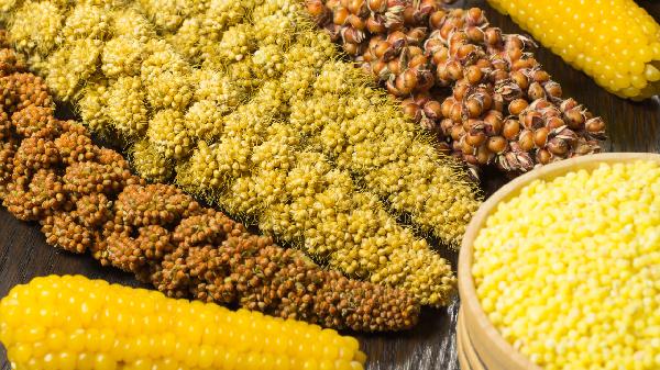 若每天晚上都吃粗粮，身体或有哪些变化？