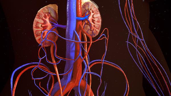 肾炎舒片的成分有哪些