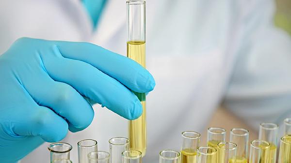 桂蒲肾清片是中药还是西药