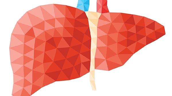 舒肝健胃丸适应人群有哪些