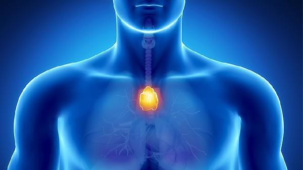 清喉咽合剂主要治什么病