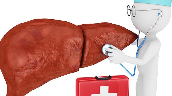 五味治肝片的功效是什么