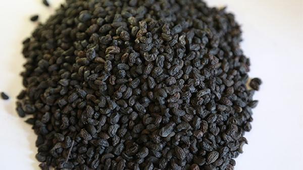 蠲痹抗生丸是中药还是西药