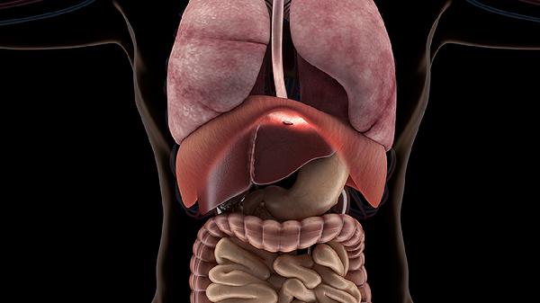 清肺止咳丸作用与功效