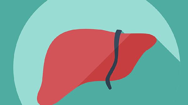 芫蒿护肝片的功效与作用