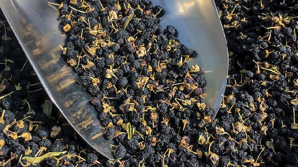 黑枸杞的功效与作用有哪些