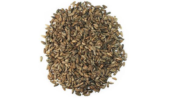 牛蒡子的功效与作用及禁忌症