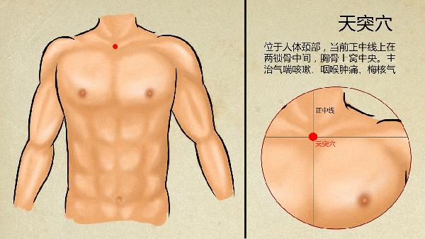 中医便秘分型与治疗