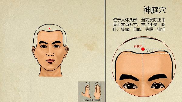 中医脱发治疗方法