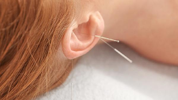 苍耳子的副作用及禁忌