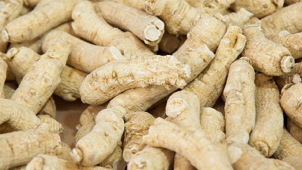 西洋参可以补肾吗