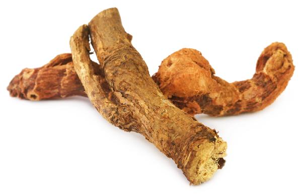 石菖蒲果实的功效