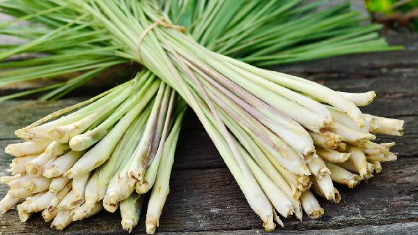 补脾有哪些适宜的食物