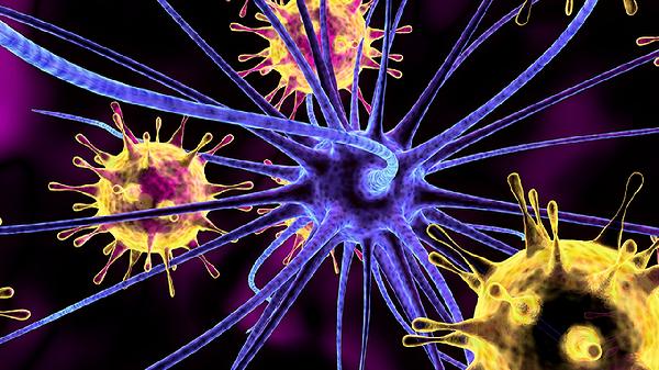 血型决定癌症？25年随访研究：B型血患癌症的风险或较低？