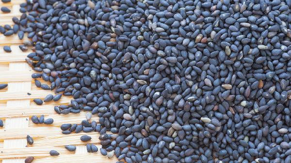 芝麻可以增强骨头？医生提醒：预防骨质疏松，建议常吃这几样