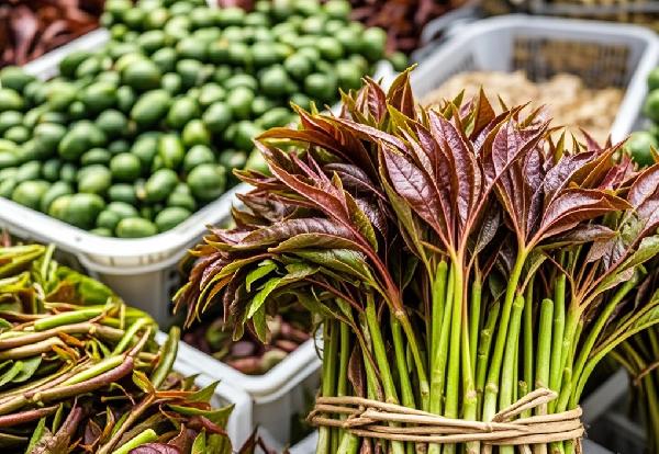 香椿这样吃会中毒！快看你中招了吗