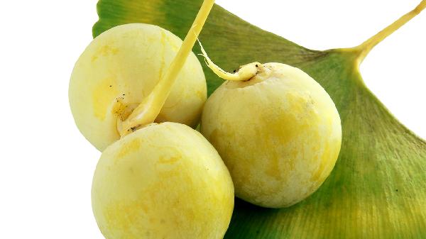 银杏果的小秘密：这样吃才对身体最好！