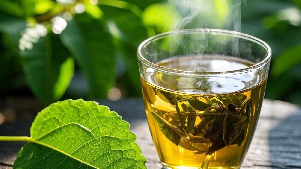 长期喝茶能减肥吗